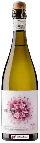 Weingut Chaffey Bros Wine Co. - Funkel Punkt