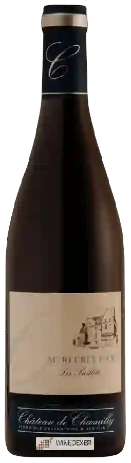 Château de Chamilly - Mercurey 1er Cru 'Les Puillets'