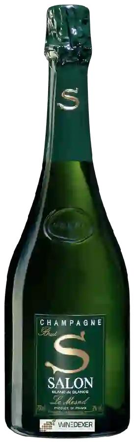 Weingut Salon - Le Mesnil Blanc de Blancs (Cuvée S) Brut Champagne Weingut Salon - Le Mesnil Blanc de Blancs (Cuvée S) Brut Champagne