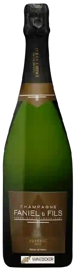 Weingut Faniel & Fils - Agapane Brut Champagne
