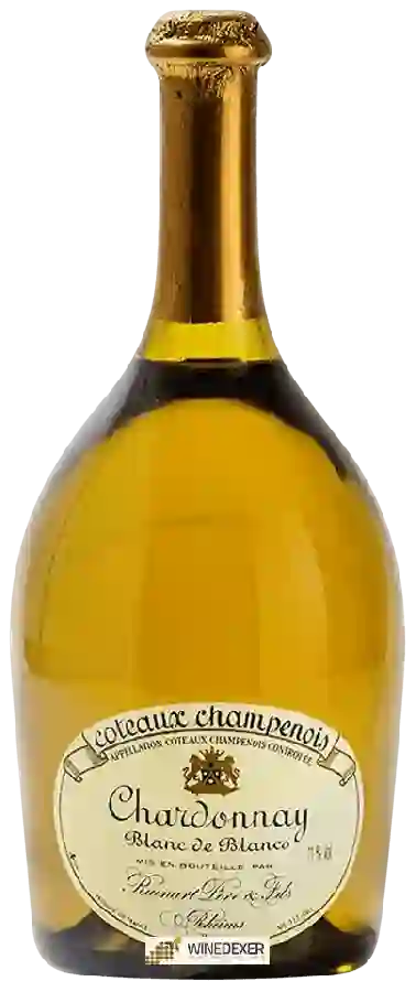 Weingut Ruinart - Blanc de Blancs Chardonnay Coteaux Champenois Historic