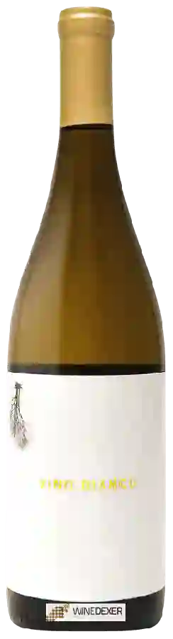 Weingut Channing Daughters - Vino Bianco Weingut Channing Daughters - Vino Bianco