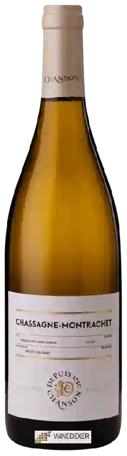 Weingut Chanson - Pinot Noir Chassagne-Montrachet