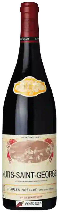 Weingut Charles Noëllat - Nuits-Saint-Georges
