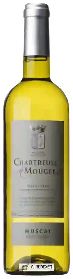 Weingut Chartreuse de Mougeres - Muscat Petits Grains Weingut Chartreuse de Mougeres - Muscat Petits Grains