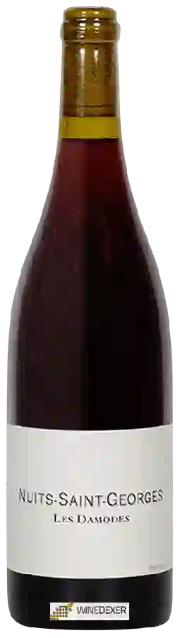 Domaine de Chassorney - Nuits-Saint-Georges 1er Cru 'Les Damodes' Domaine de Chassorney - Nuits-Saint-Georges 1er Cru 'Les Damodes'