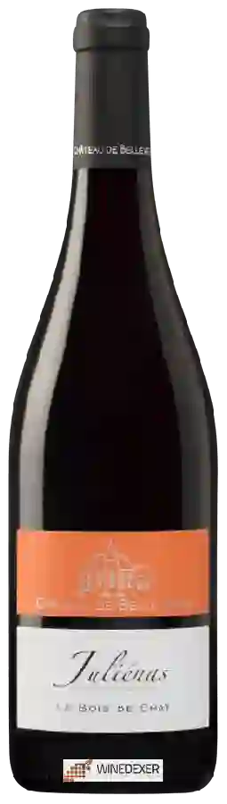 Château de Belleverne - Le Bois de Chat Juliénas