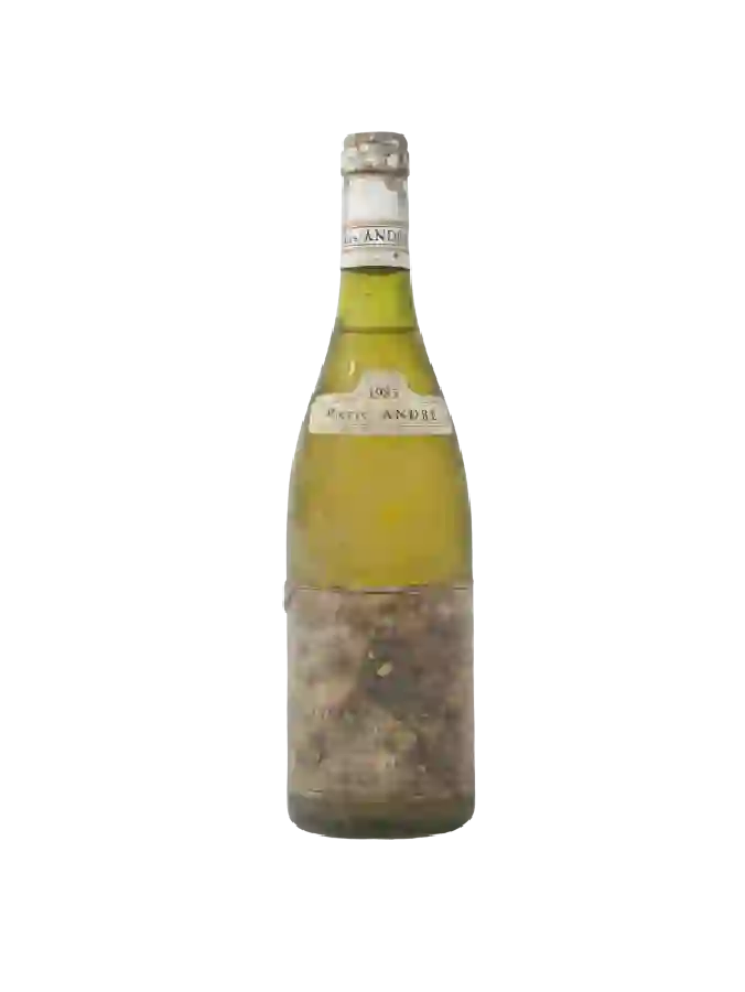 Weingut Pierre André - Coteaux Bourguignons Weingut Pierre André - Coteaux Bourguignons