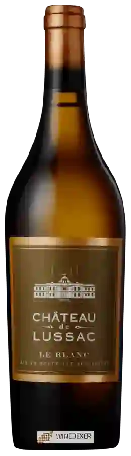 Chateau de Lussac - Le Blanc
