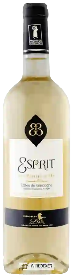 Château Laur - Esprit Les Pépites d'Or Moelleux