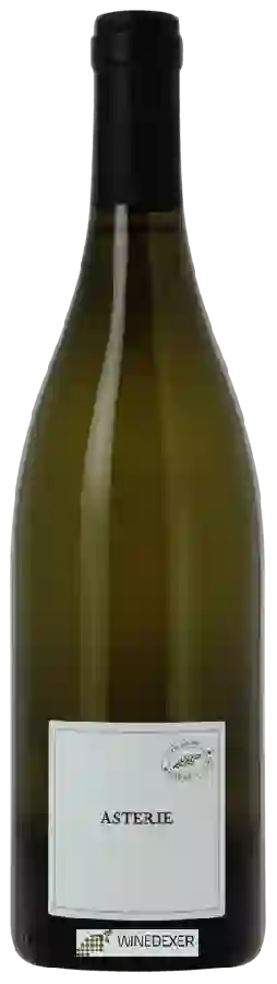 Château Sainte-Marie - Asterie Blanc