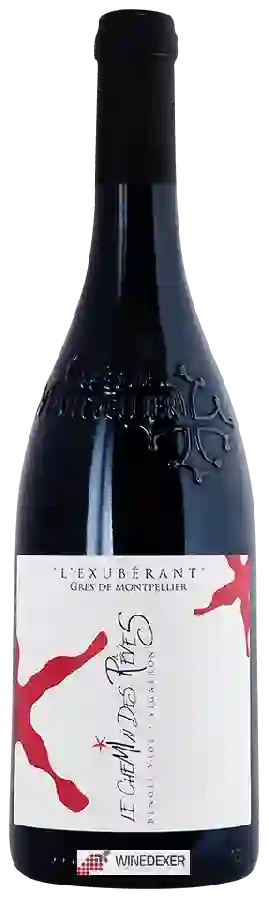 Weingut Chemin des Reves - Grès de Montpellier Weingut Chemin des Reves - Grès de Montpellier