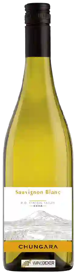 Weingut Chungará - Sauvignon Blanc