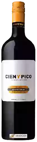 Weingut Cien Y Pico - Knights-Errant