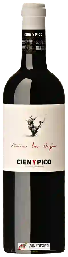 Weingut Cien Y Pico - Viña La Ceja Weingut Cien Y Pico - Viña La Ceja