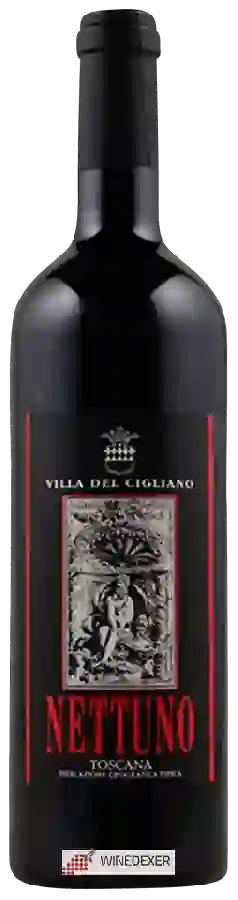 Weingut Cigliano - Nettuno