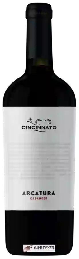 Weingut Cincinnato - Arcatura Cesanese Weingut Cincinnato - Arcatura Cesanese