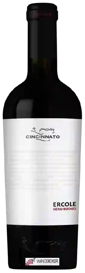 Weingut Cincinnato - Ercole Nero Buono Weingut Cincinnato - Ercole Nero Buono