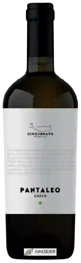 Weingut Cincinnato - Pantaleo Greco Weingut Cincinnato - Pantaleo Greco