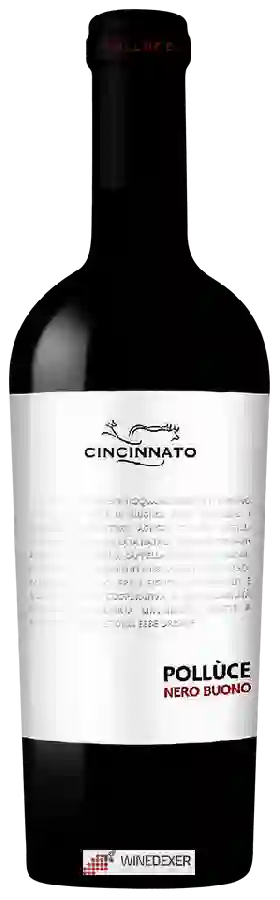 Weingut Cincinnato - Pollùce Nero Buono Weingut Cincinnato - Pollùce Nero Buono