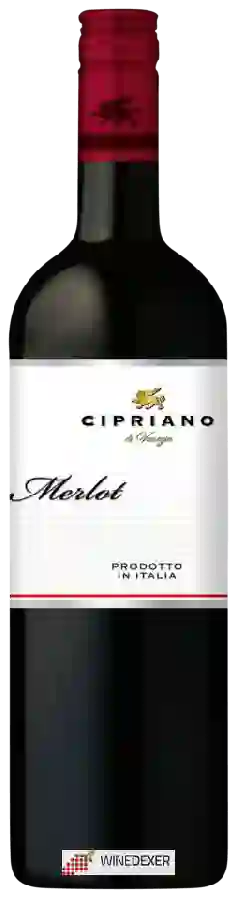 Weingut Cipriano - Merlot Weingut Cipriano - Merlot