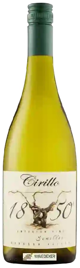 Weingut Cirillo - 1850 Old Vine Sémillon Weingut Cirillo - 1850 Old Vine Sémillon