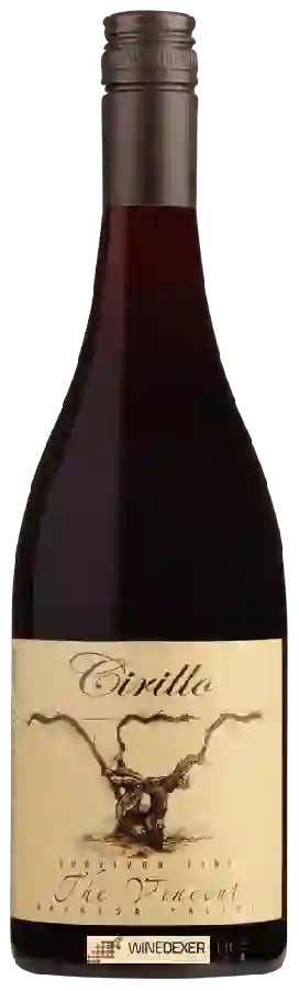 Weingut Cirillo - Survivor Vine The Vincent Weingut Cirillo - Survivor Vine The Vincent