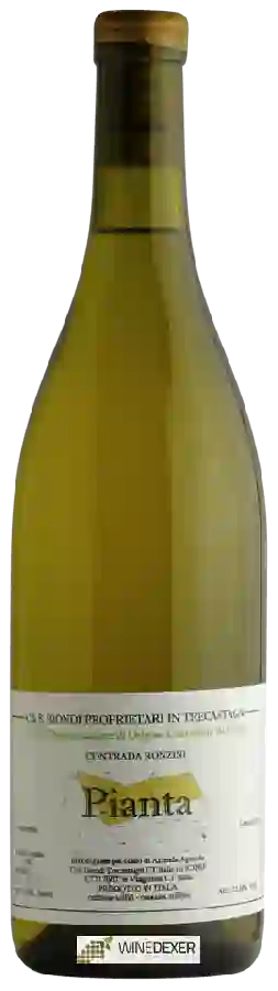 Weingut Biondi - Contrada Ronzini Pianta Weingut Biondi - Contrada Ronzini Pianta
