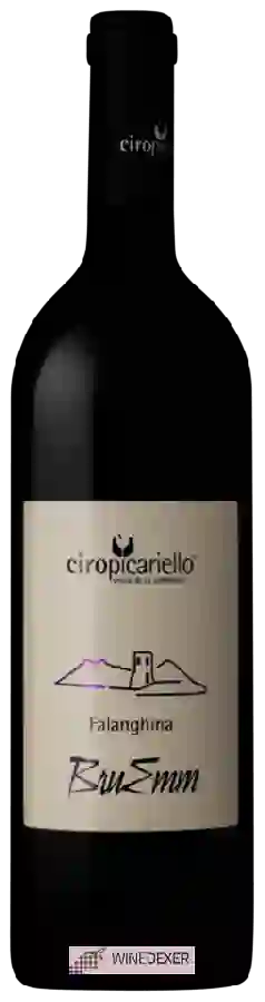 Weingut Ciro Picariello - Bruemm Falanghina Weingut Ciro Picariello - Bruemm Falanghina