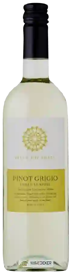 Weingut Città dei Ponti - Pinot Grigio