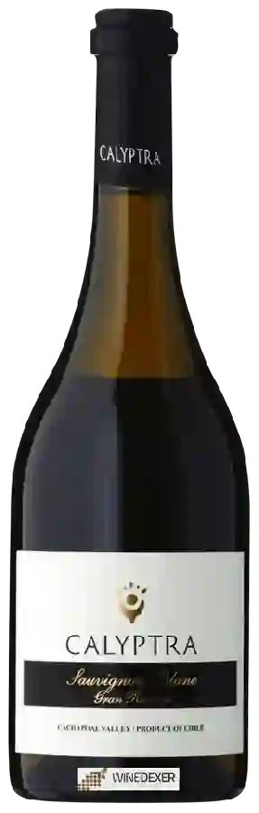 Weingut Calyptra - Gran Reserva Sauvignon Blanc
