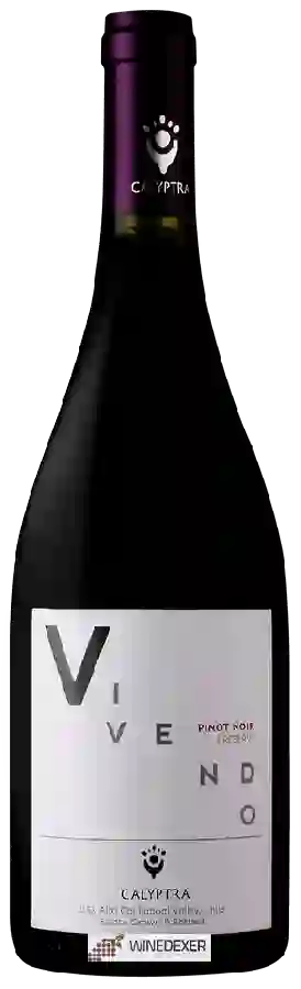 Weingut Calyptra - Vivendo Pinot Noir Reserva Weingut Calyptra - Vivendo Pinot Noir Reserva