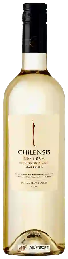Weingut Chilensis - Sauvignon Blanc Reserva Weingut Chilensis - Sauvignon Blanc Reserva