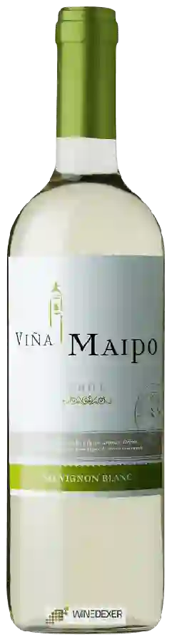 Weingut Viña Maipo - Sauvignon Blanc