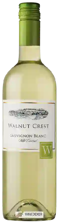 Weingut Walnut Crest - Sauvignon Blanc Weingut Walnut Crest - Sauvignon Blanc