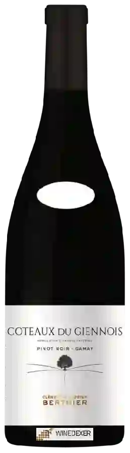 Weingut Clement et Florian Berthier - Coteaux du Giennois Pinot Noir - Gamay