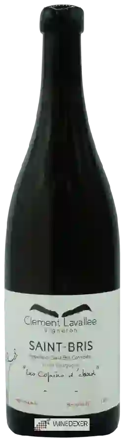 Weingut Clément Lavallée - Les Copains d'abord Saint-Bris