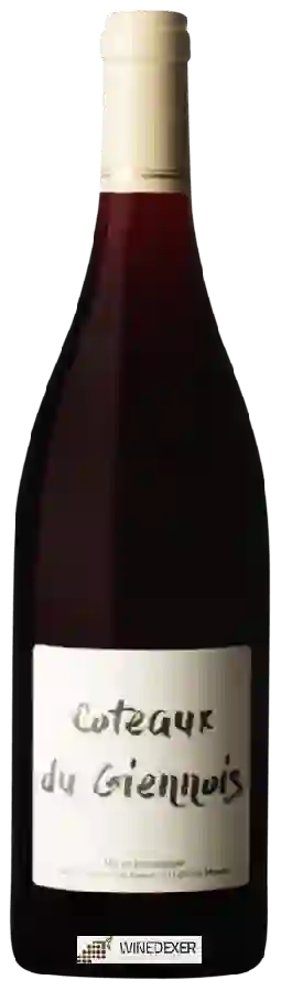 Clos du Tue-Boeuf - Côteaux du Giennois