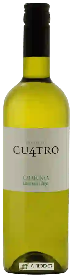 Clos Mont-Blanc - Proyecto Cu4tro Blanco Clos Mont-Blanc - Proyecto Cu4tro Blanco