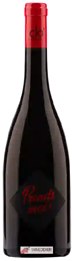 Weingut Clothide Pain (Clo') - Prends Moi ! Weingut Clothide Pain (Clo') - Prends Moi !
