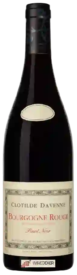 Domaine Les Temps Perdus - Clotilde Davenne - Bourgogne Rouge Pinot Noir