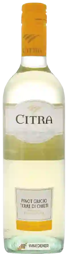 Weingut Citra - Pinot Grigio Terre di Chieti
