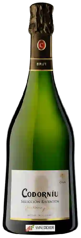 Weingut Codorníu - Selección Raventós Cava Brut Weingut Codorníu - Selección Raventós Cava Brut