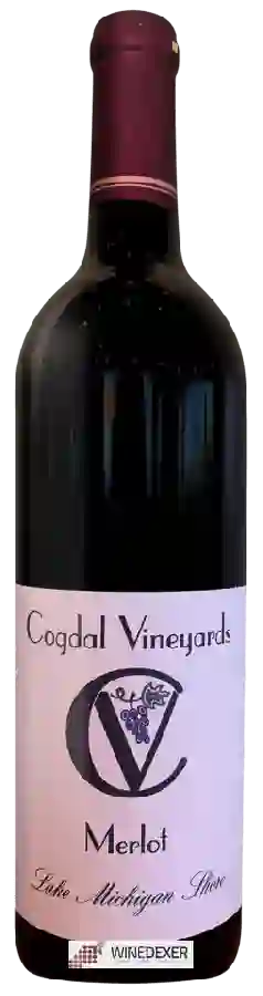 Weingut Cogdal - Merlot