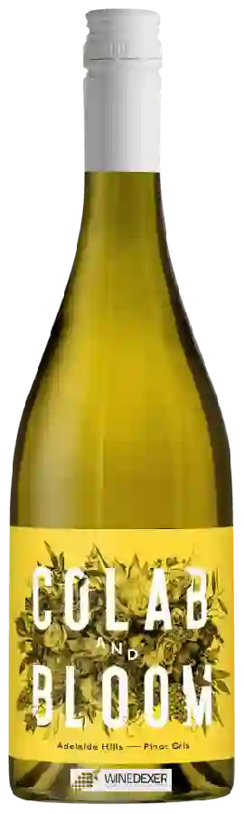 Weingut Colab and Bloom - Pinot Gris