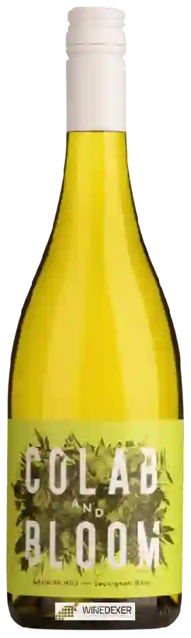 Weingut Colab and Bloom - Sauvignon Blanc Weingut Colab and Bloom - Sauvignon Blanc