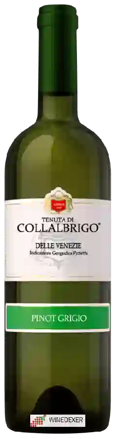 Weingut Collalbrigo - Pinot Grigio