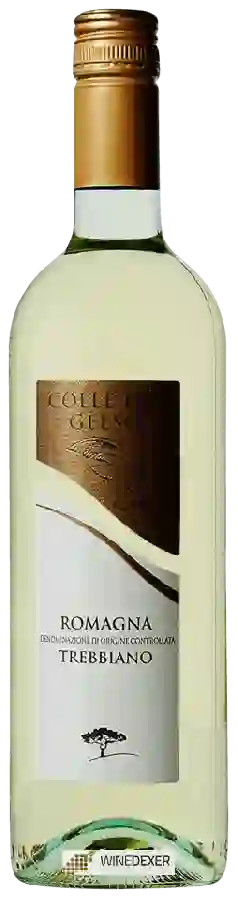 Weingut Colle del Gelso - Trebbiano