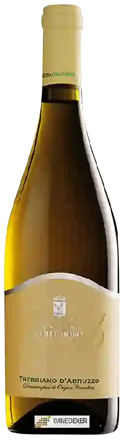 Weingut Cantina Colle Moro - Club Trebbiano d'Abruzzo Weingut Cantina Colle Moro - Club Trebbiano d'Abruzzo