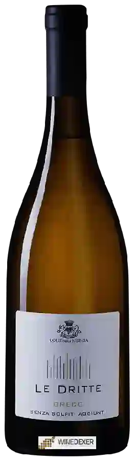 Weingut Colli Della Murgia - Le Dritte Greco